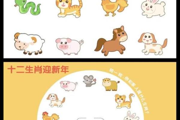 属什么生肖?揭示未来一年的生肖秘密 属什么生肖?揭示未来一年的生肖秘密