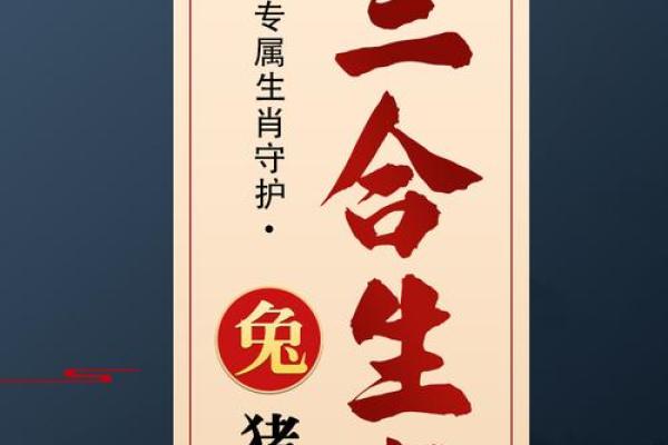 属什么生肖?揭示未来一年的生肖秘密 属什么生肖?揭示未来一年的生肖秘密
