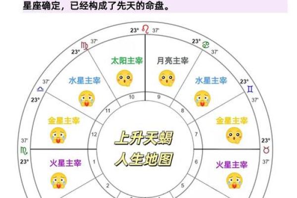 出生的命理分析与人生轨迹 出生的命理分析与人生轨迹