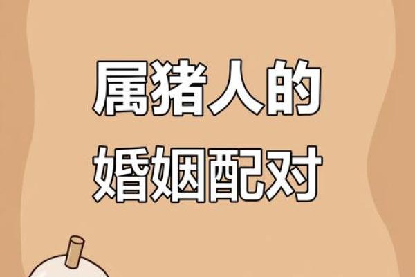 属猪男女配对优势与挑战全解析 属猪男女配对优势与挑战全解析