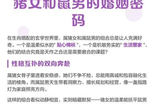 属猪男女配对优势与挑战全解析 属猪男女配对优势与挑战全解析