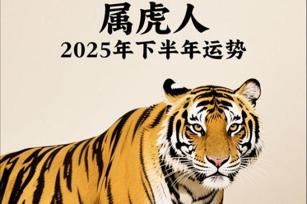 属虎的每月运势与运程分析,掌握好运之道 属虎的每月运势与运程分析,掌握好运之道