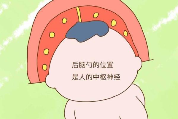 巴掌命的含义与背后的文化象征 巴掌命的含义与背后的文化象征