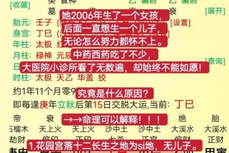 出生的命理分析与人生轨迹
