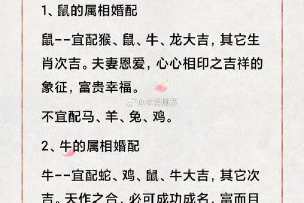 属鸡人的理想伴侣:五大生肖配对解析 属鸡人的理想伴侣:五大生肖配对解析