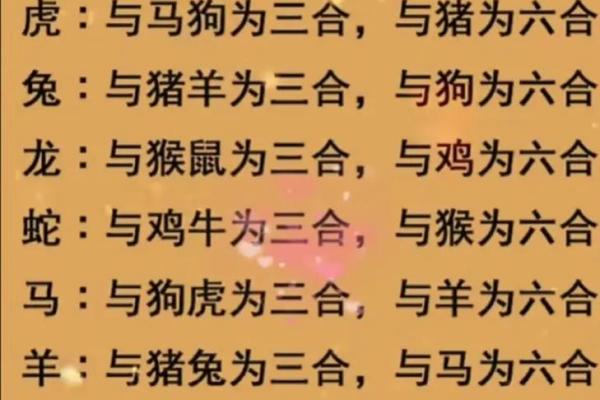 牛狗婚姻配对:是否能够和谐共处? 牛狗婚姻配对:是否能够和谐共处?