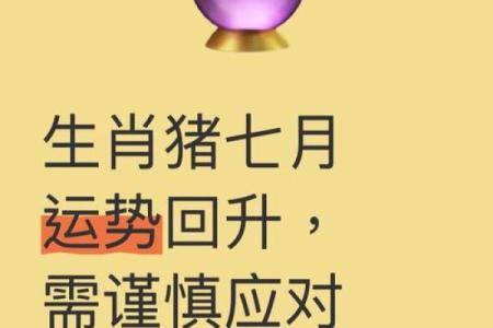 生肖人的财富与感情运势