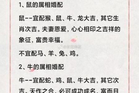 属鸡人的理想伴侣：五大生肖配对解析