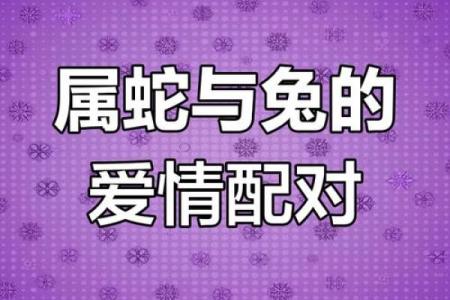 蛇女与马男的缘分是否注定适配？深入分析星座配对的奥秘