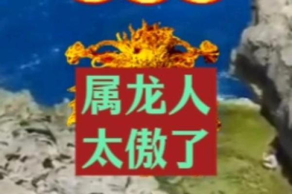 属龙人和属鸡人的性格契合度分析 属龙人和属鸡人的性格契合度分析
