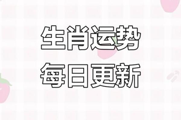 生肖运势全解析:每个生肖的幸运与挑战 生肖运势全解析:每个生肖的幸运与挑战