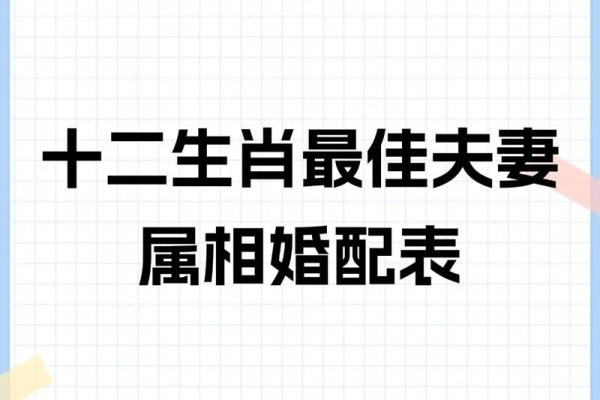 生肖相配表揭示的最佳婚配组合解析 生肖相配表揭示的最佳婚配组合解析