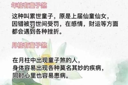 半童子命的定义与命理解析