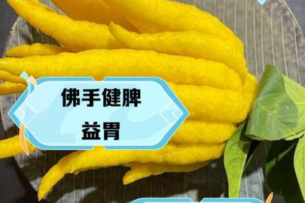 佛手与命运:改变运势的神奇力量 佛手与命运:改变运势的神奇力量