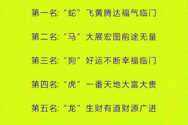 十二生肖运势解析:各个生肖的好运与挑战 十二生肖运势解析:各个生肖的好运与挑战