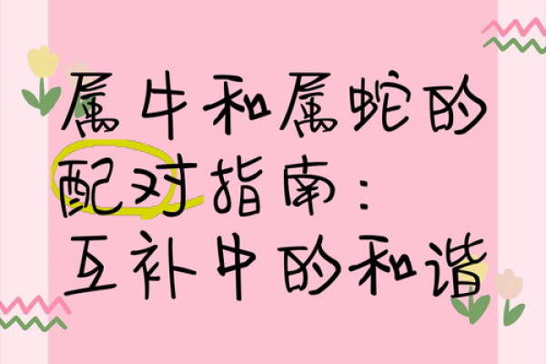 男属牛女属牛的缘分与婚姻适配度评估 男属牛女属牛的缘分与婚姻适配度评估