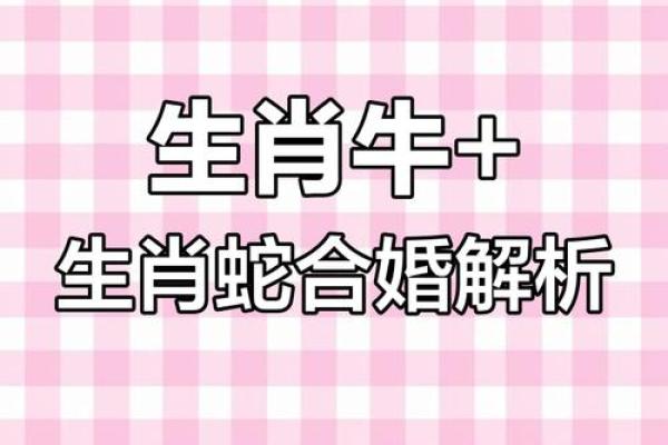 男属牛女属牛的缘分与婚姻适配度评估 男属牛女属牛的缘分与婚姻适配度评估