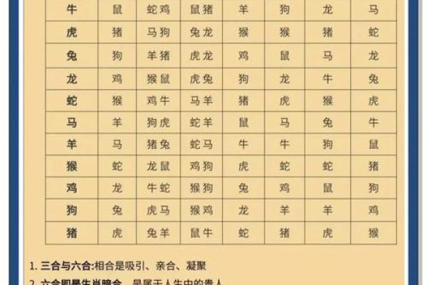 出生的生肖命运揭秘 出生的生肖命运揭秘