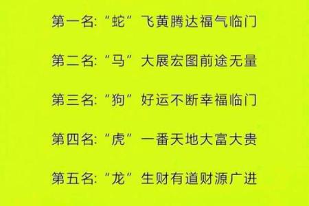 十二生肖运势解析：各个生肖的好运与挑战