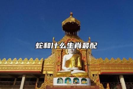 属鸡和属蛇的缘分如何 相配吗？