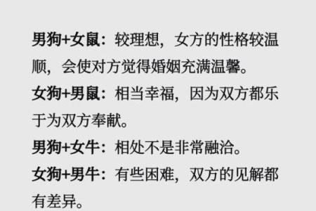 从属相角度看最适合的婚配组合