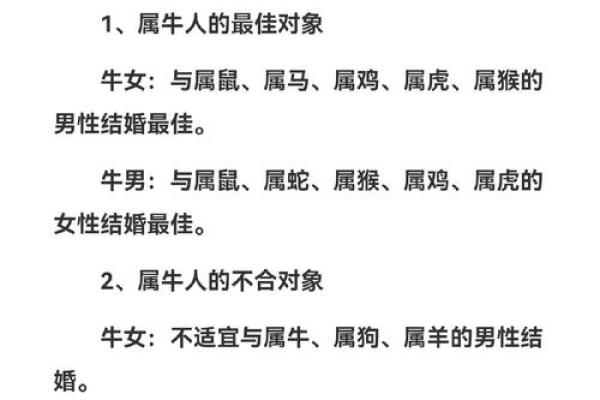 牛男龙女是否天作之合 解析生肖配对的和谐与挑战