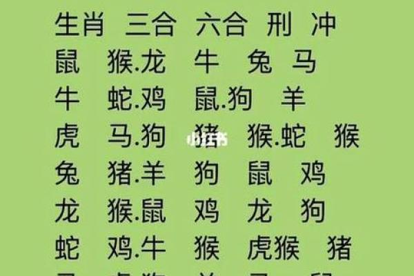 属龙的最佳配对:揭示十二生肖最理想的缘分组合 属龙的最佳配对:揭示十二生肖最理想的缘分组合
