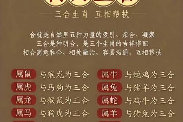 出生的生肖是哪个 揭示未来的命运特征