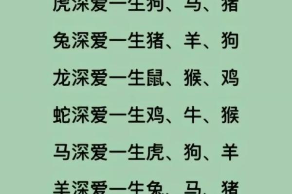 属兔与属马的爱情与婚姻兼容性探讨 属兔与属马的爱情与婚姻兼容性探讨