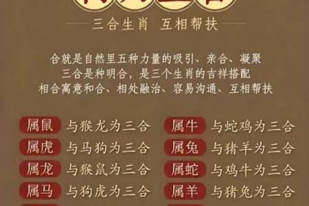 出生的生肖是哪个 揭示未来的命运特征