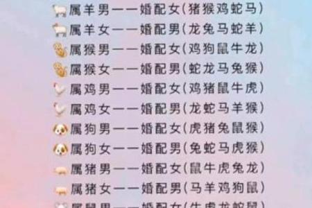 属兔与属马的爱情与婚姻兼容性探讨