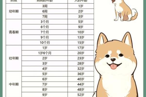 出生属狗人的命运解析与性格分析 出生属狗人的命运解析与性格分析