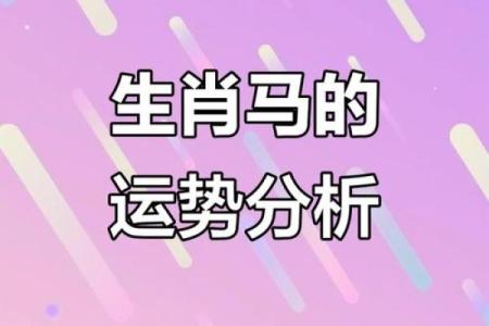 出生生肖命运解读