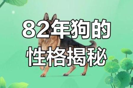 出生属狗人的命运解析与性格分析