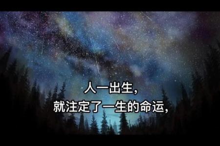 出生人的性格与人生轨迹