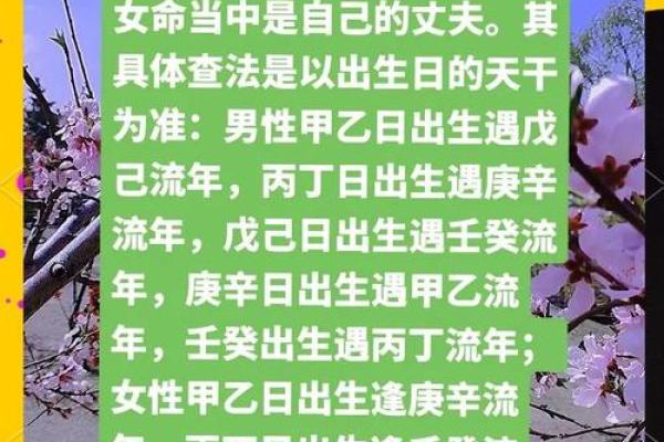 半命桃花的独特魅力与深层含义解析 半命桃花的独特魅力与深层含义解析