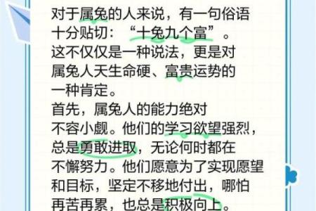 出生的属兔人一生运势解析