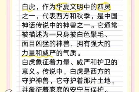 白虎命的含义与影响解析