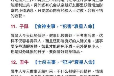 出生属相揭秘与运势分析