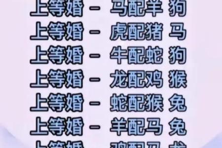 十二生肖排名一览，哪个生肖最适合做领导？
