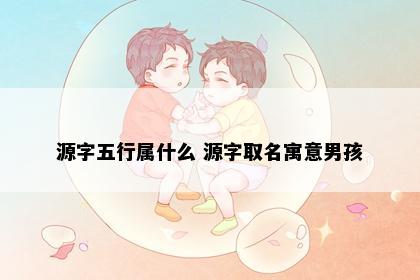源字五行属什么 源字取名寓意男孩