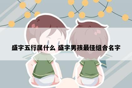 盛字五行属什么 盛字男孩最佳组合名字