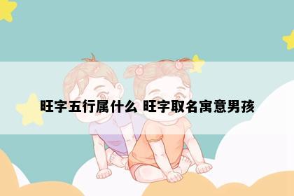 旺字五行属什么 旺字取名寓意男孩