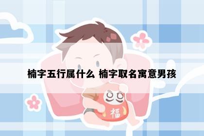 楠字五行属什么 楠字取名寓意男孩