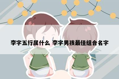 李字五行属什么 李字男孩最佳组合名字