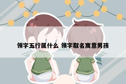 领字五行属什么 领字取名寓意男孩