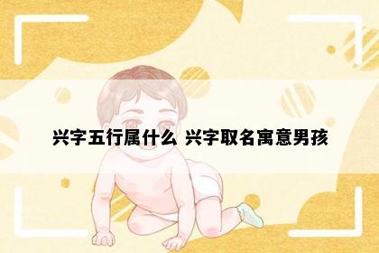 兴字五行属什么 兴字取名寓意男孩