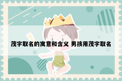 茂字取名的寓意和含义 男孩用茂字取名