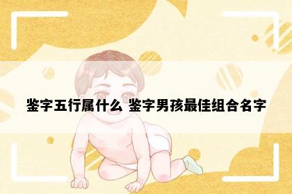 鉴字五行属什么 鉴字男孩最佳组合名字