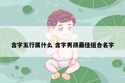 含字五行属什么 含字男孩最佳组合名字